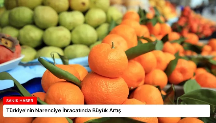 Türkiye’nin Narenciye İhracatında Büyük Artış
