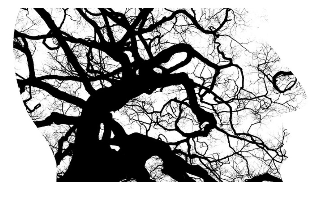 Başakşehir Psikolog – Daha Dengeli Bir Yaşam İçin Profesyonel Destek