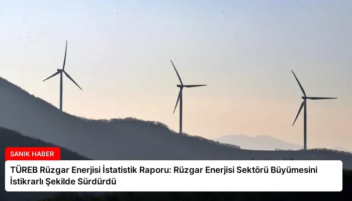 TÜREB Rüzgar Enerjisi İstatistik Raporu: Rüzgar Enerjisi Sektörü Büyümesini İstikrarlı Şekilde Sürdürdü