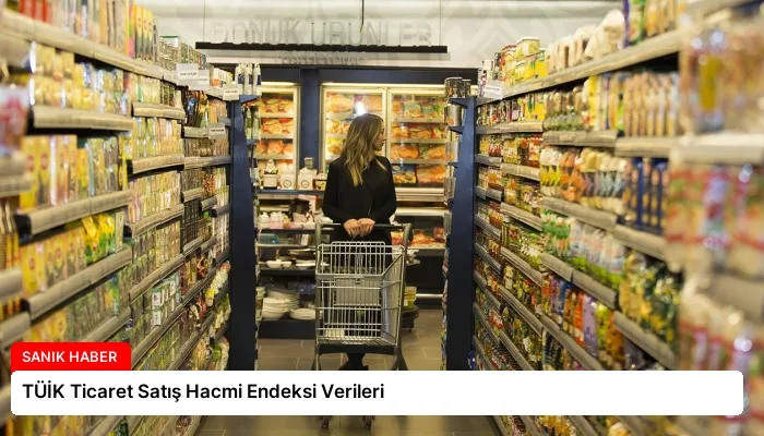 TÜİK Ticaret Satış Hacmi Endeksi Verileri