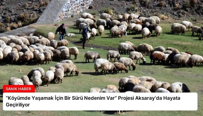 “Köyümde Yaşamak İçin Bir Sürü Nedenim Var” Projesi Aksaray’da Hayata Geçiriliyor