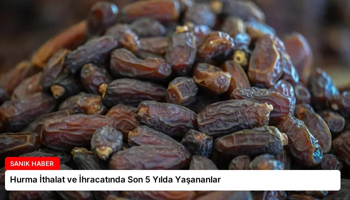 Hurma İthalat ve İhracatında Son 5 Yılda Yaşananlar