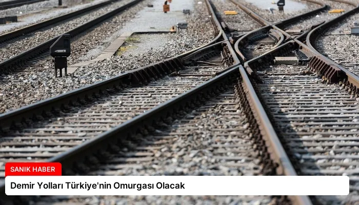 Demir Yolları Türkiye’nin Omurgası Olacak