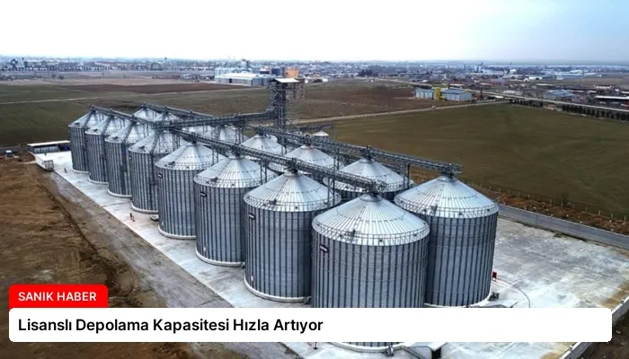 Lisanslı Depolama Kapasitesi Hızla Artıyor