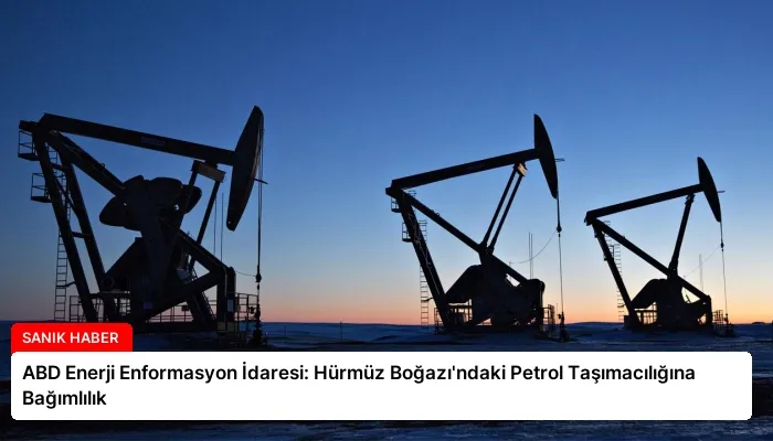 ABD Enerji Enformasyon İdaresi: Hürmüz Boğazı’ndaki Petrol Taşımacılığına Bağımlılık