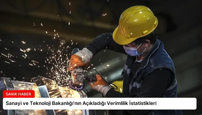 Sanayi ve Teknoloji Bakanlığı’nın Açıkladığı Verimlilik İstatistikleri