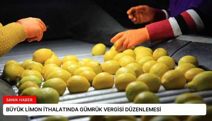 BÜYÜK LİMON İTHALATINDA GÜMRÜK VERGİSİ DÜZENLEMESİ