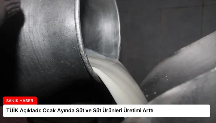 TÜİK Açıkladı: Ocak Ayında Süt ve Süt Ürünleri Üretimi Arttı