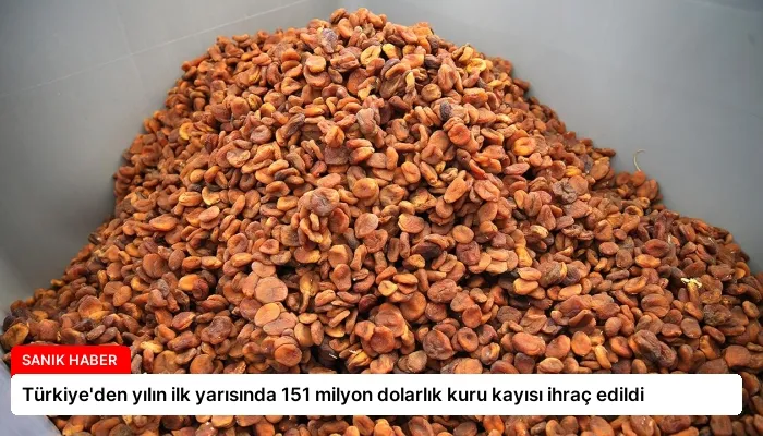 Türkiye’den yılın ilk yarısında 151 milyon dolarlık kuru kayısı ihraç edildi