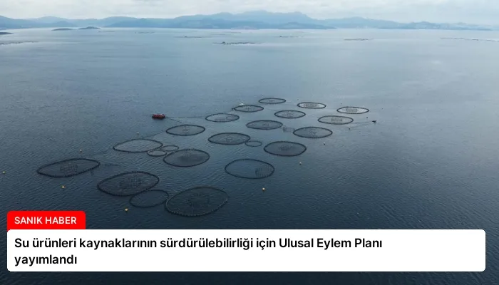 Su ürünleri kaynaklarının sürdürülebilirliği için Ulusal Eylem Planı yayımlandı