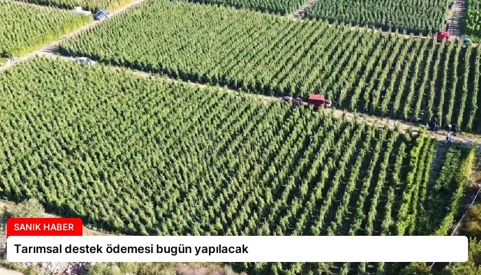 Tarımsal destek ödemesi bugün yapılacak