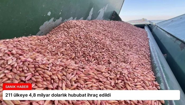 211 ülkeye 4,8 milyar dolarlık hububat ihraç edildi