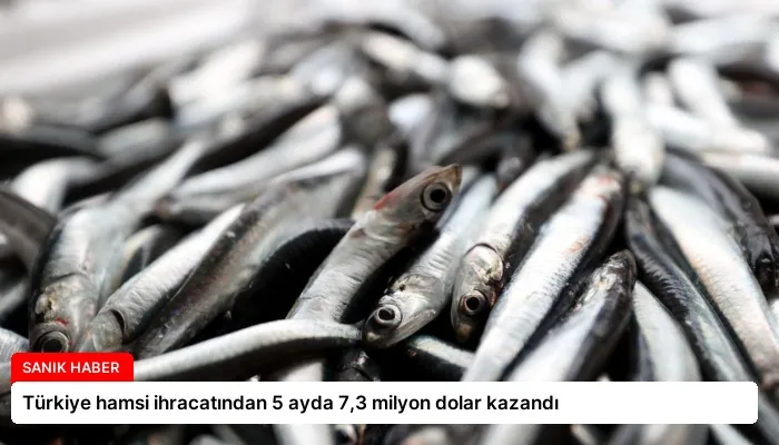 Türkiye hamsi ihracatından 5 ayda 7,3 milyon dolar kazandı