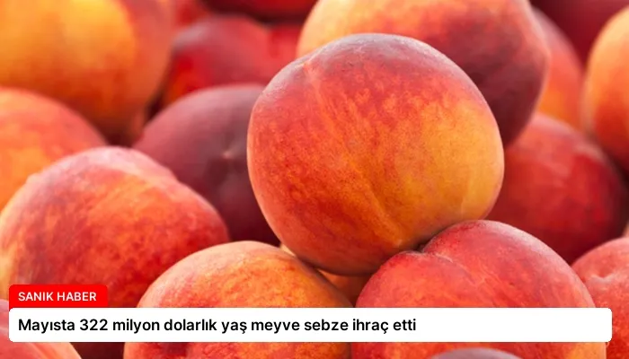 Mayısta 322 milyon dolarlık yaş meyve sebze ihraç etti