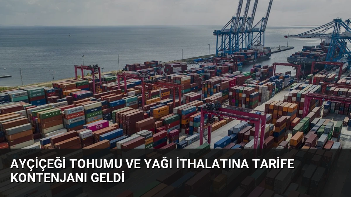 Ayçiçeği Tohumu ve Yağı İthalatına Tarife Kontenjanı Geldi