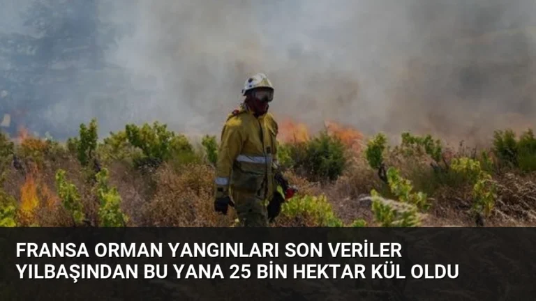 Fransa Orman Yangınları Son Veriler Yılbaşından Bu Yana 25 Bin Hektar Kül Oldu