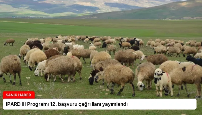 IPARD III Programı 12. başvuru çağrı ilanı yayımlandı