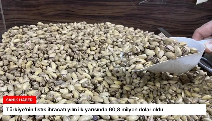 Türkiye’nin fıstık ihracatı yılın ilk yarısında 60,8 milyon dolar oldu