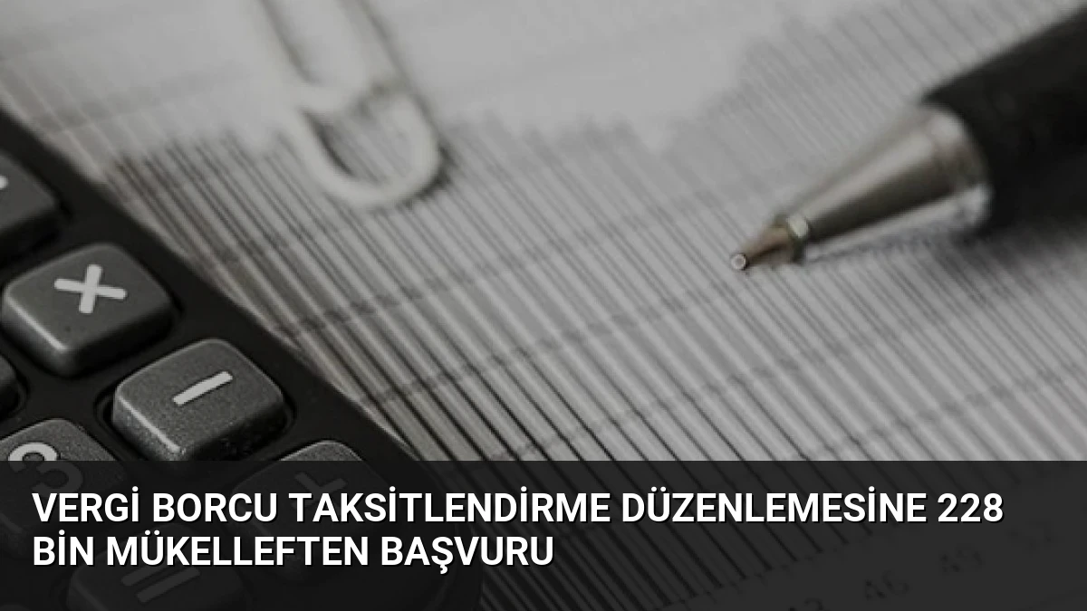 Vergi Borcu Taksitlendirme Düzenlemesine 228 Bin Mükelleften Başvuru