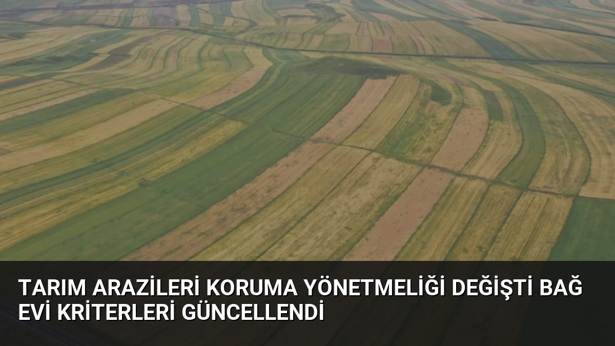 Tarım Arazileri Koruma Yönetmeliği Değişti Bağ Evi Kriterleri Güncellendi