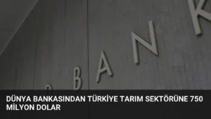 Dünya Bankasından Türkiye Tarım Sektörüne 750 Milyon Dolar
