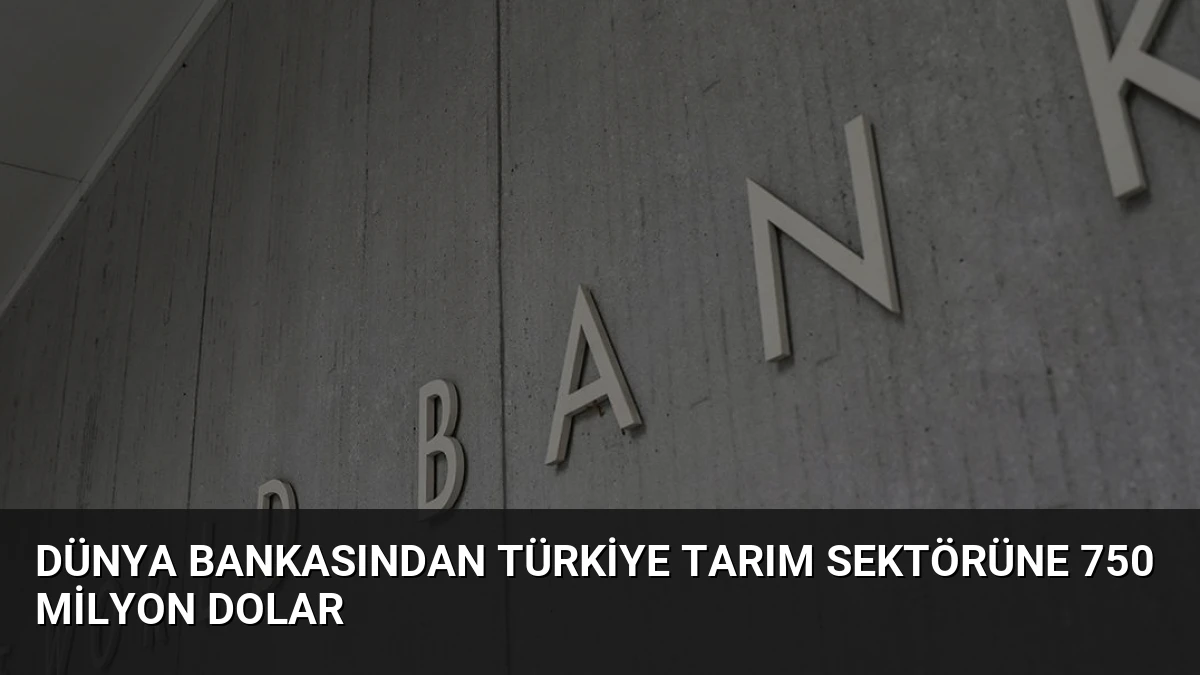 Dünya Bankasından Türkiye Tarım Sektörüne 750 Milyon Dolar