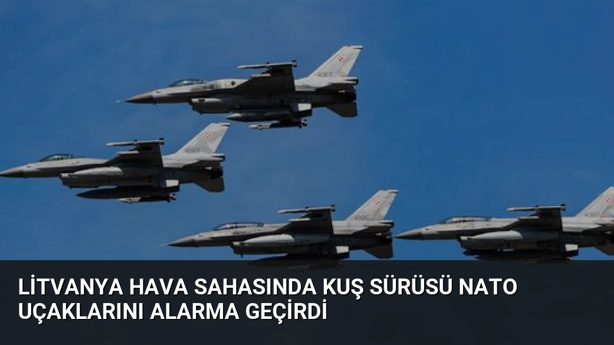 Litvanya Hava Sahasında Kuş Sürüsü NATO Uçaklarını Alarma Geçirdi