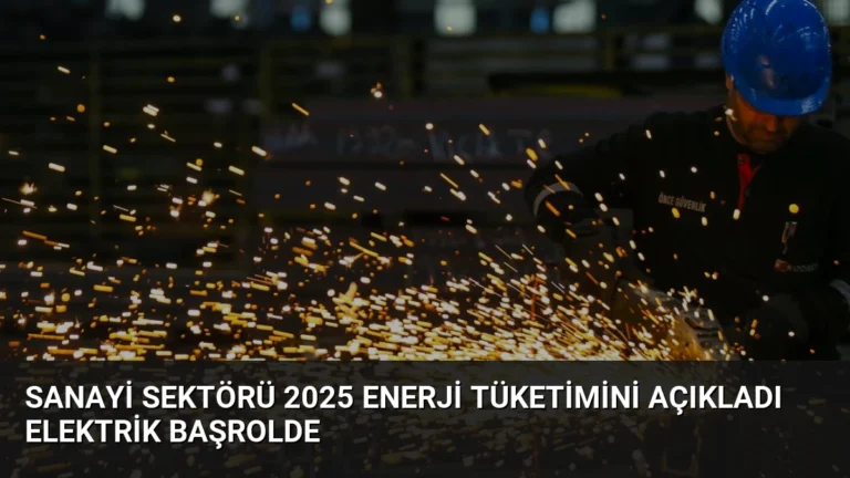 Sanayi Sektörü 2025 Enerji Tüketimini Açıkladı Elektrik Başrolde
